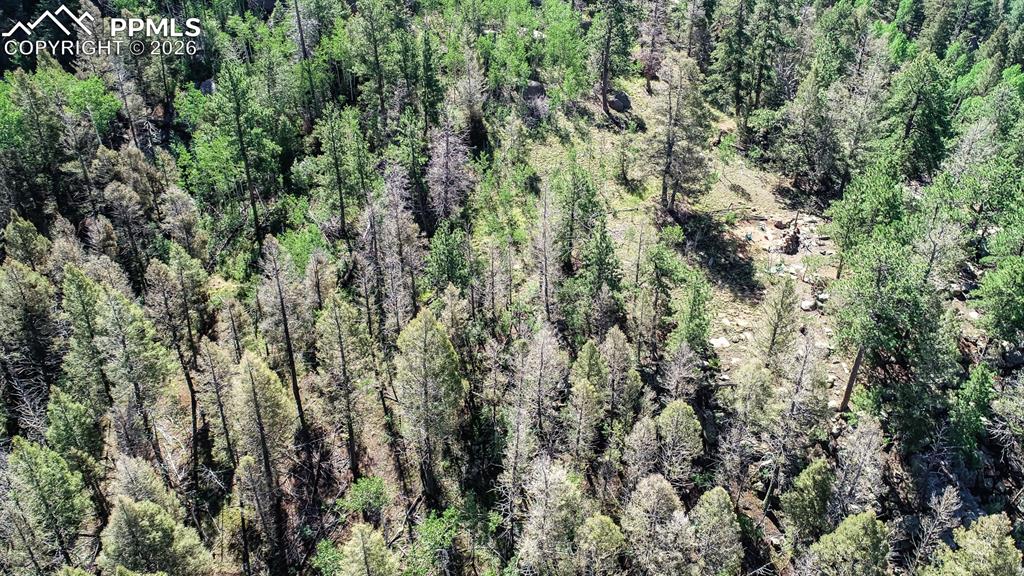 235 Hay Creek Road Florissant CO 80816