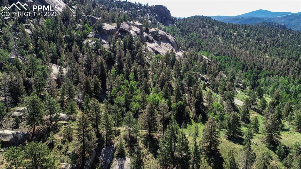 235 Hay Creek Road Florissant CO 80816
