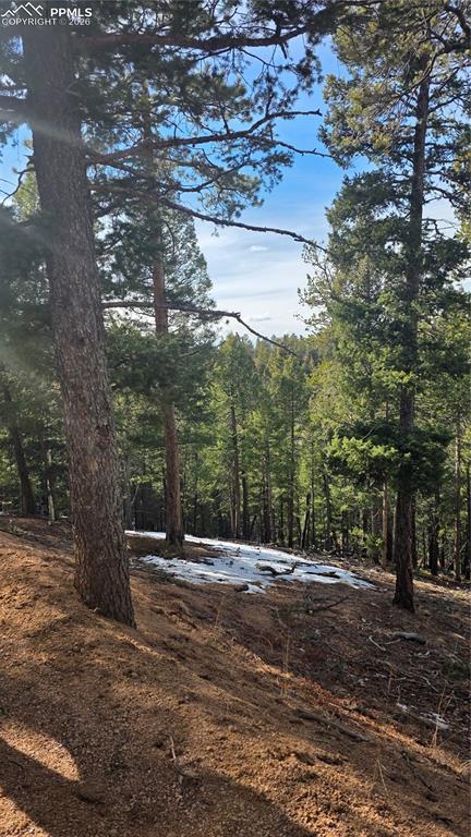 307 Tillicum Trail Woodland Park CO 80863