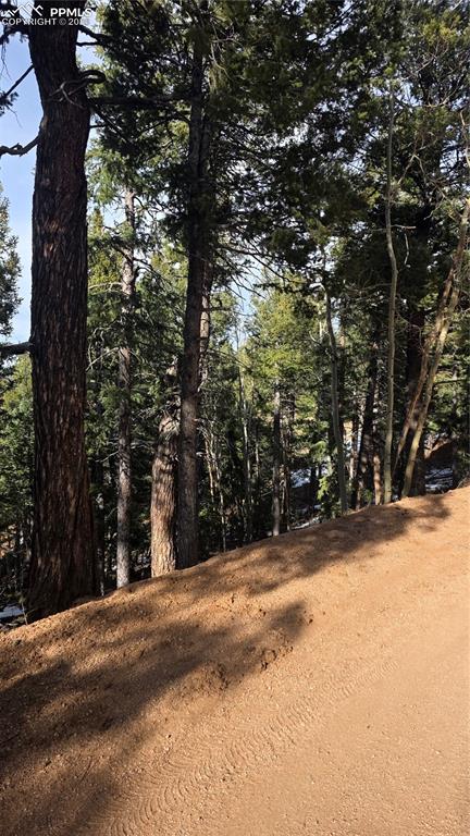 307 Tillicum Trail Woodland Park CO 80863