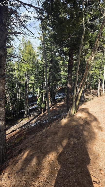 307 Tillicum Trail Woodland Park CO 80863