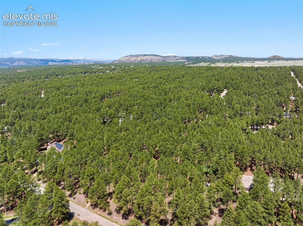 140 E Stirrup Trail Monument CO 80132