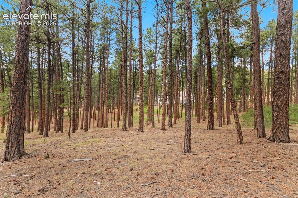 140 E Stirrup Trail Monument CO 80132