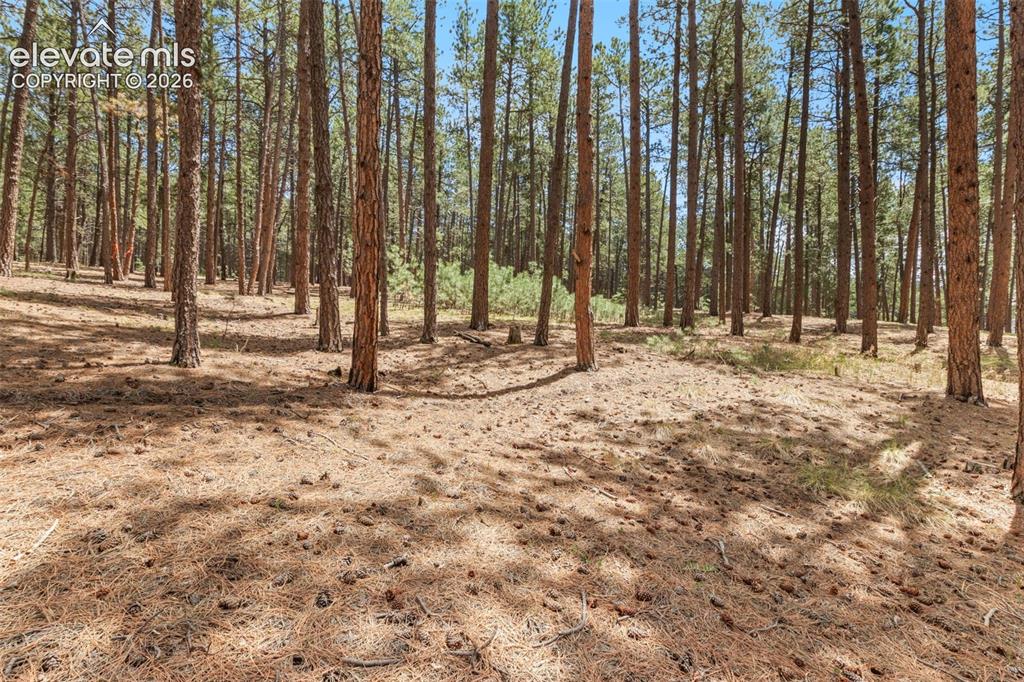 140 E Stirrup Trail Monument CO 80132