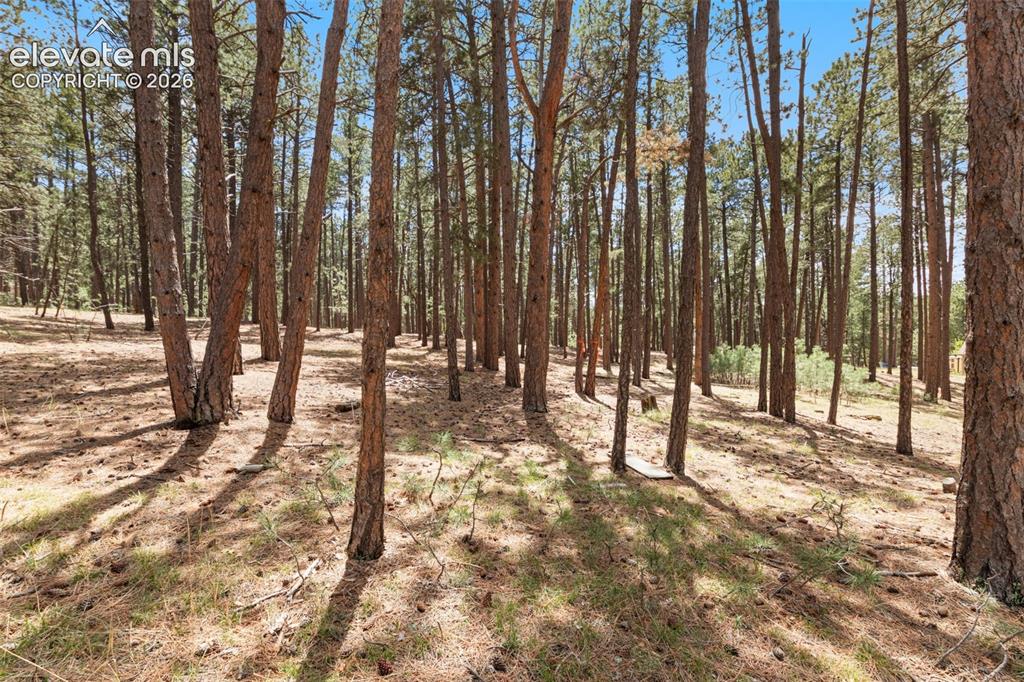 140 E Stirrup Trail Monument CO 80132