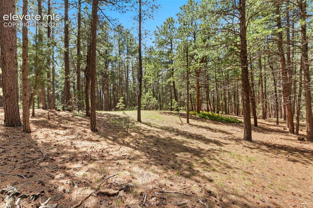140 E Stirrup Trail Monument CO 80132