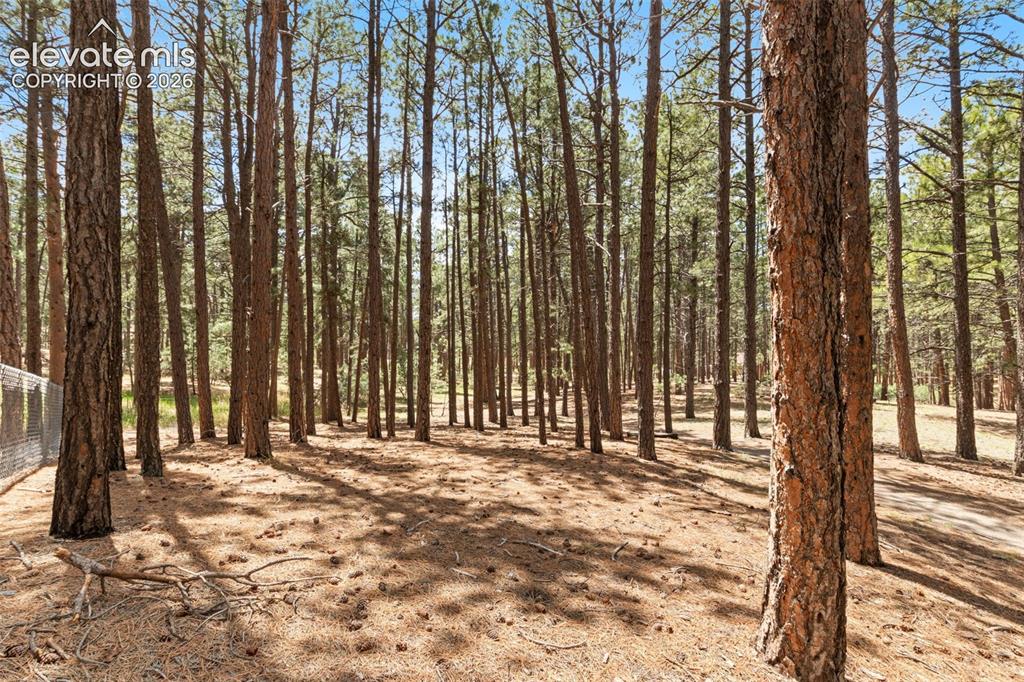 140 E Stirrup Trail Monument CO 80132
