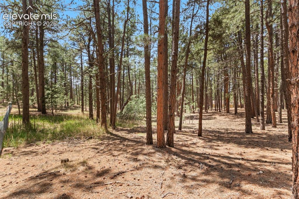 140 E Stirrup Trail Monument CO 80132