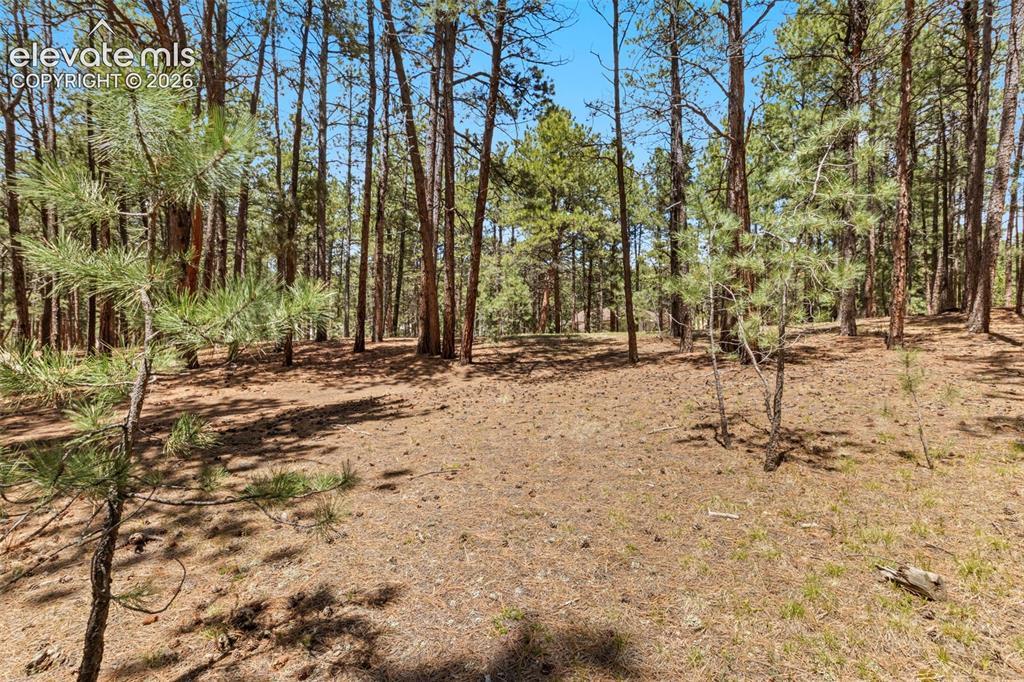 140 E Stirrup Trail Monument CO 80132