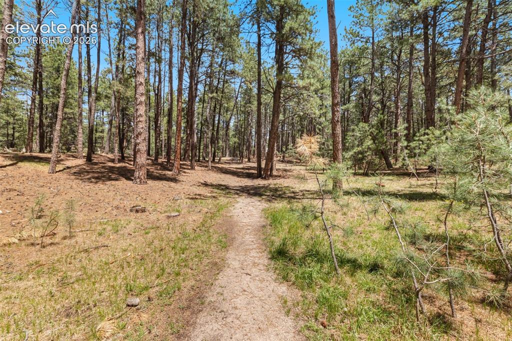 140 E Stirrup Trail Monument CO 80132