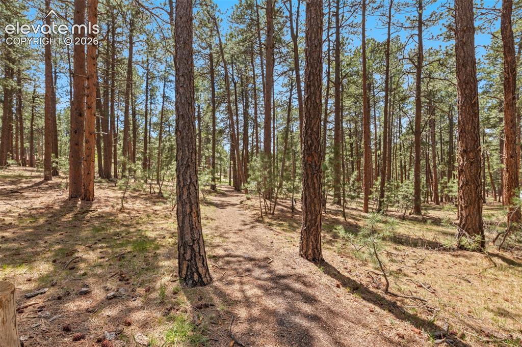 140 E Stirrup Trail Monument CO 80132
