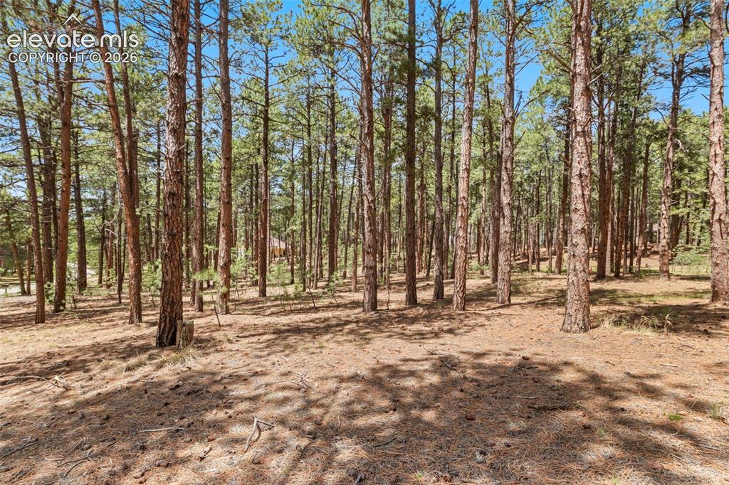 140 E Stirrup Trail Monument CO 80132