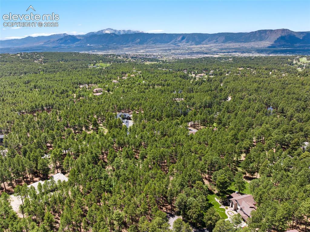 140 E Stirrup Trail Monument CO 80132