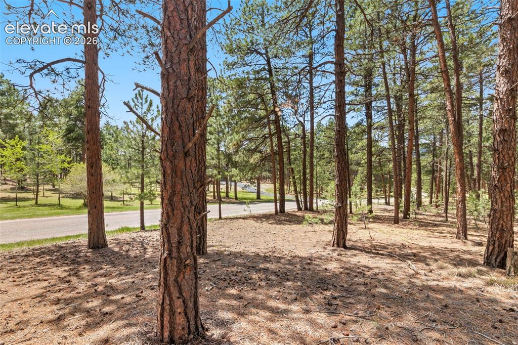 140 E Stirrup Trail Monument CO 80132