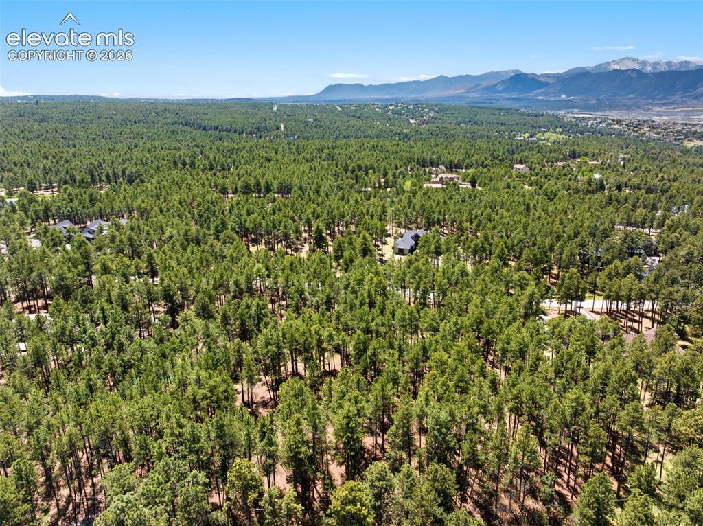140 E Stirrup Trail Monument CO 80132