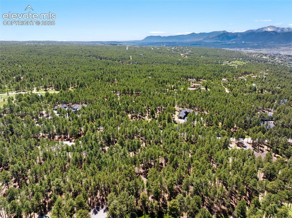 140 E Stirrup Trail Monument CO 80132