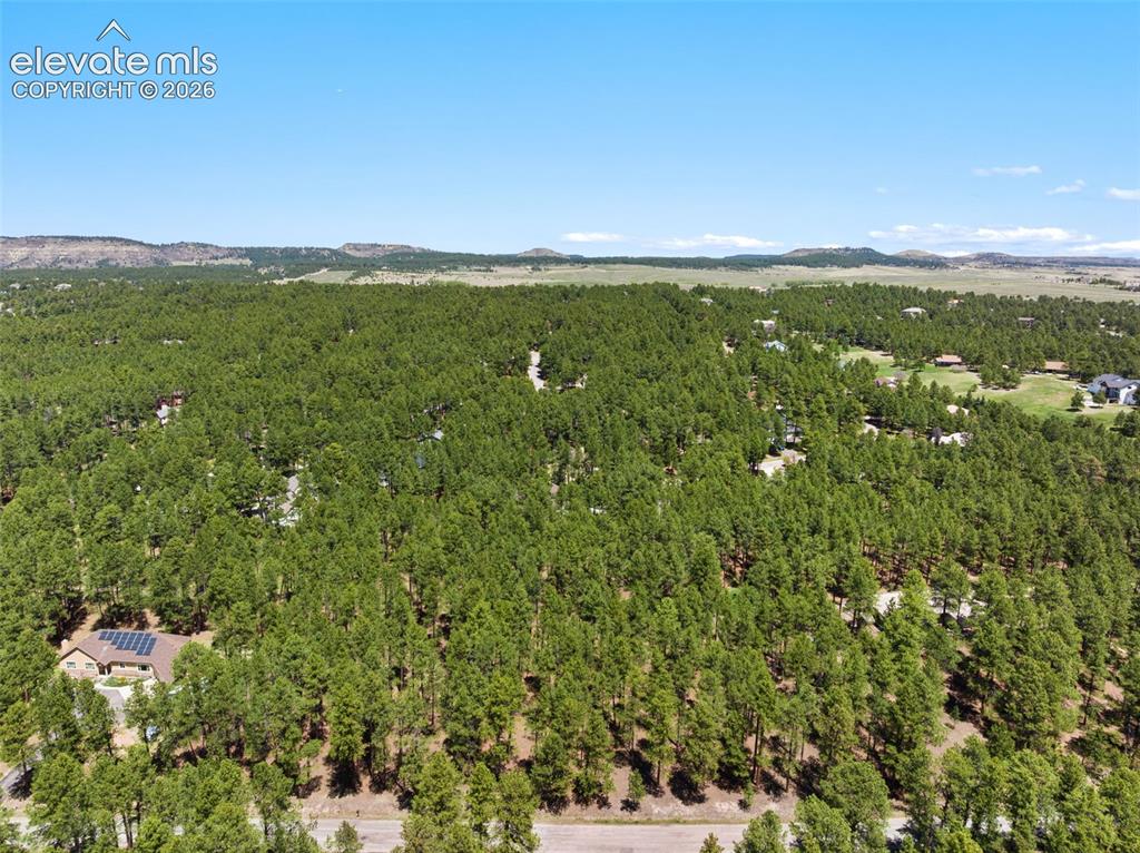 140 E Stirrup Trail Monument CO 80132