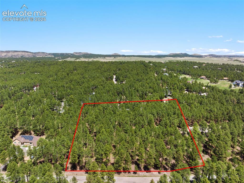 140 E Stirrup Trail Monument CO 80132