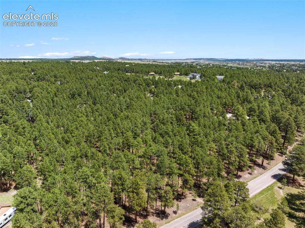 140 E Stirrup Trail Monument CO 80132