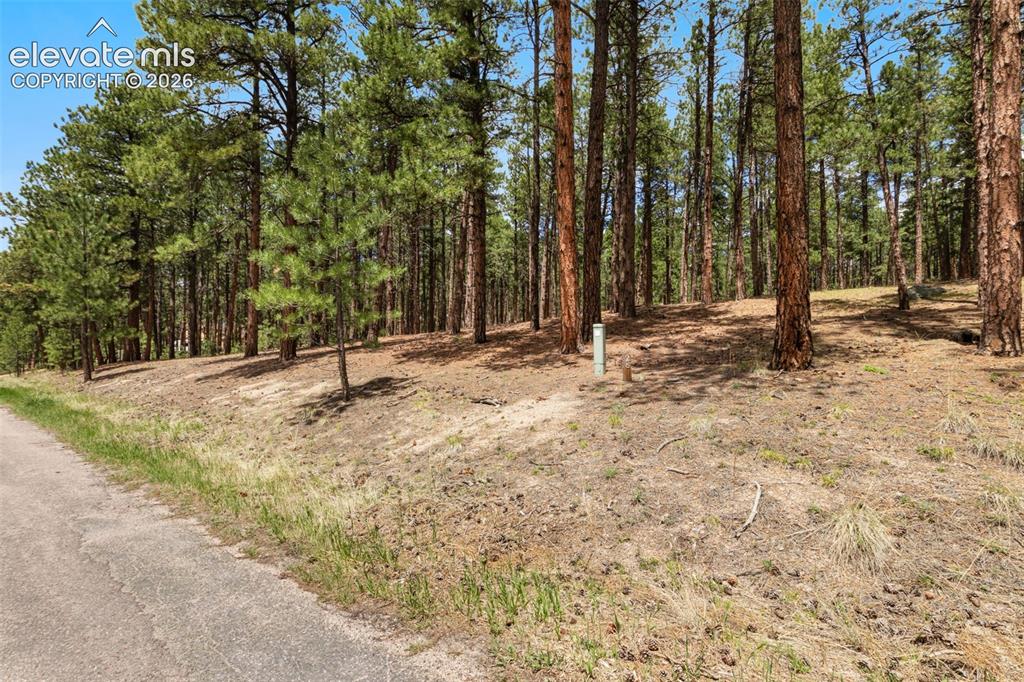 140 E Stirrup Trail Monument CO 80132
