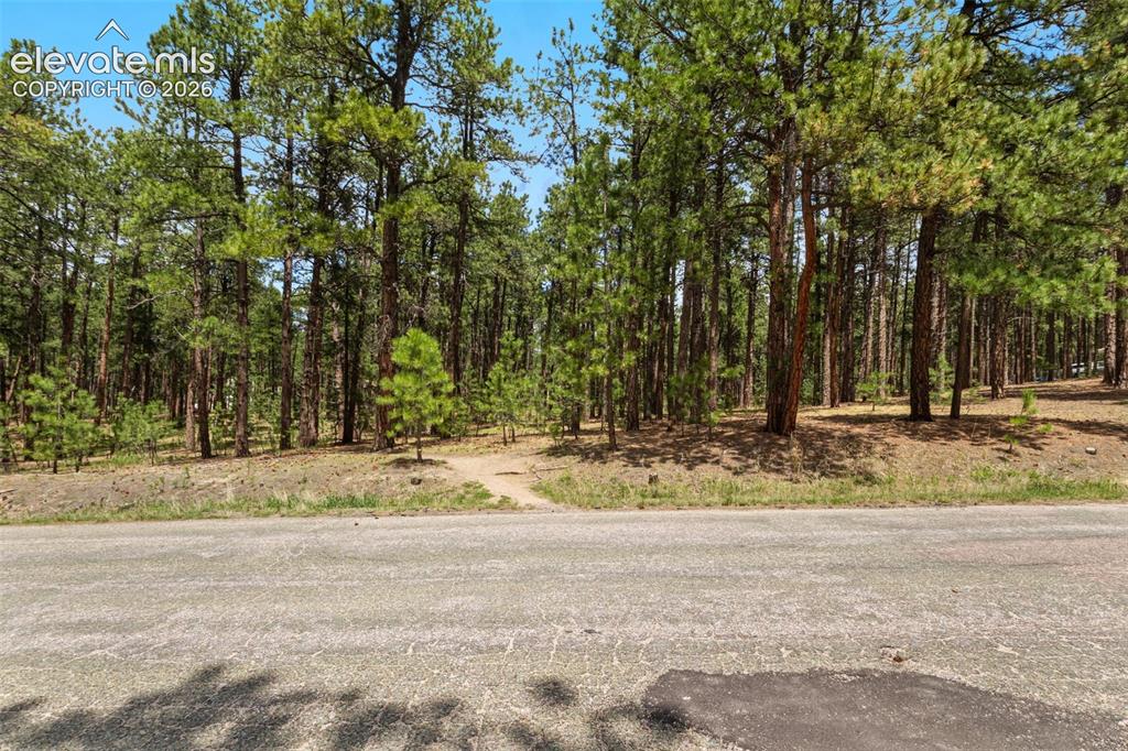 140 E Stirrup Trail Monument CO 80132