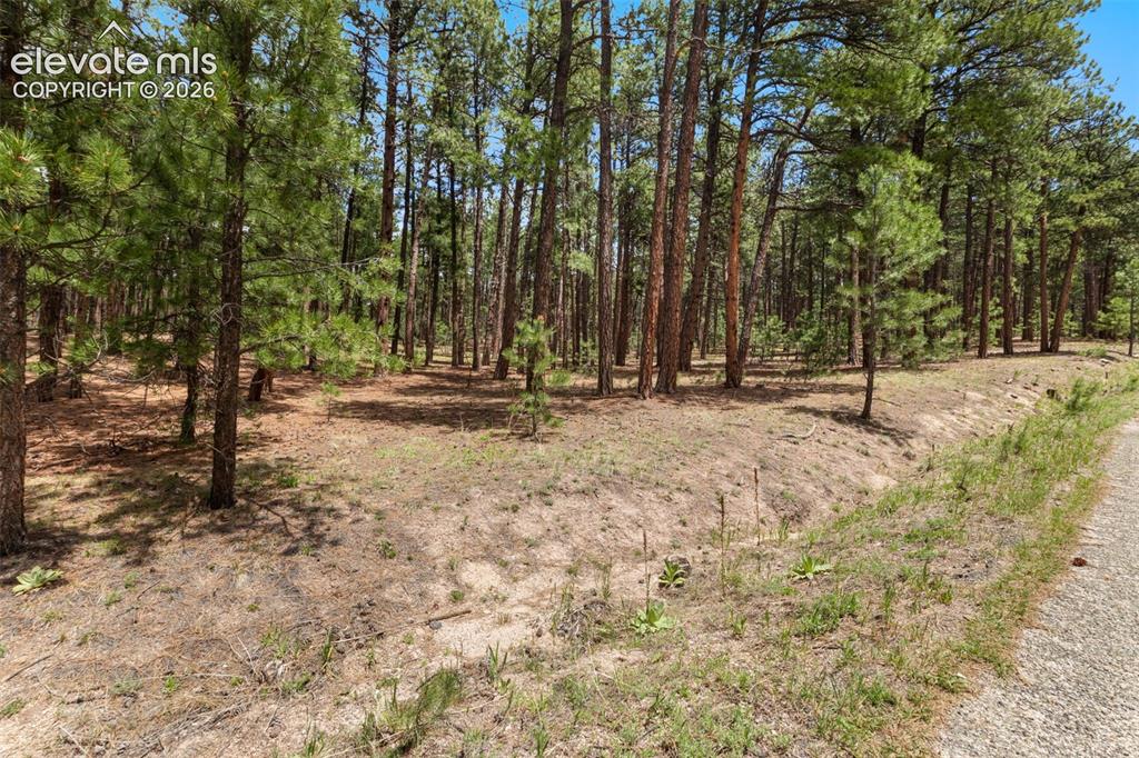 140 E Stirrup Trail Monument CO 80132