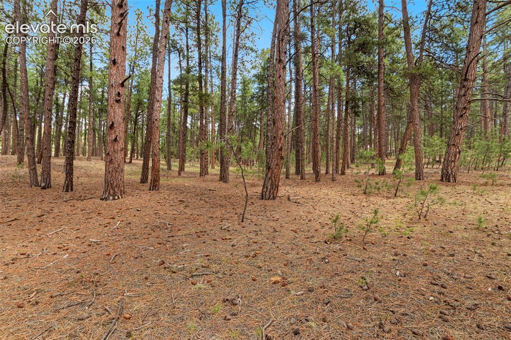 140 E Stirrup Trail Monument CO 80132