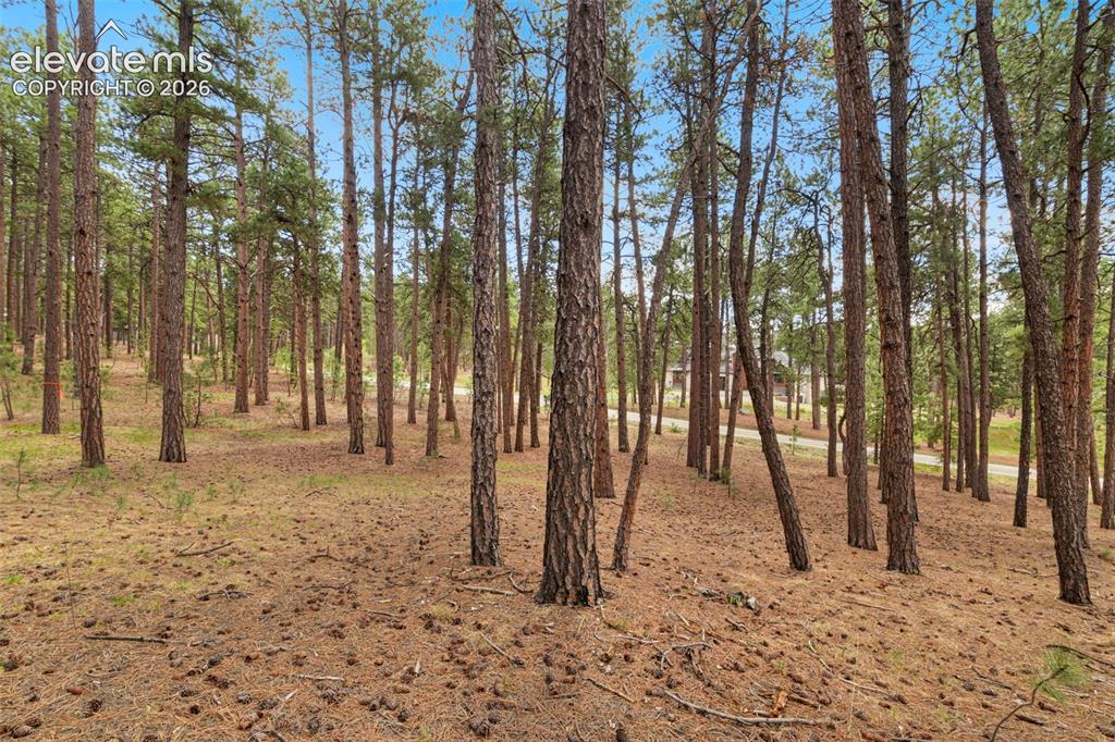 140 E Stirrup Trail Monument CO 80132