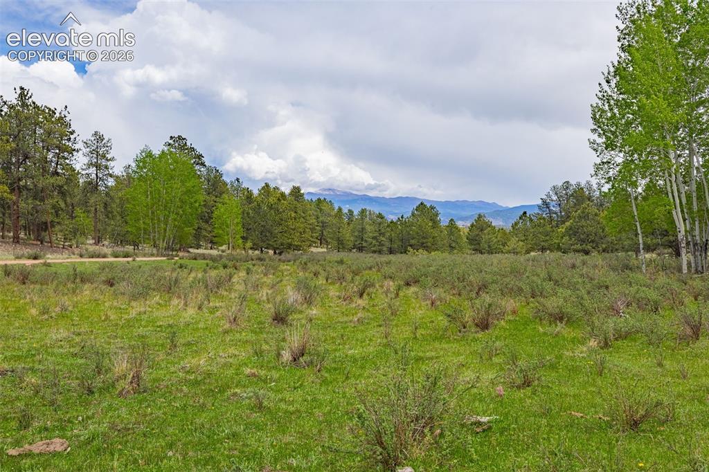 4250 Doe Valley Road Guffey CO 80820
