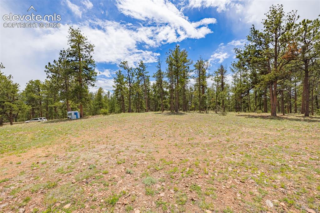 4250 Doe Valley Road Guffey CO 80820