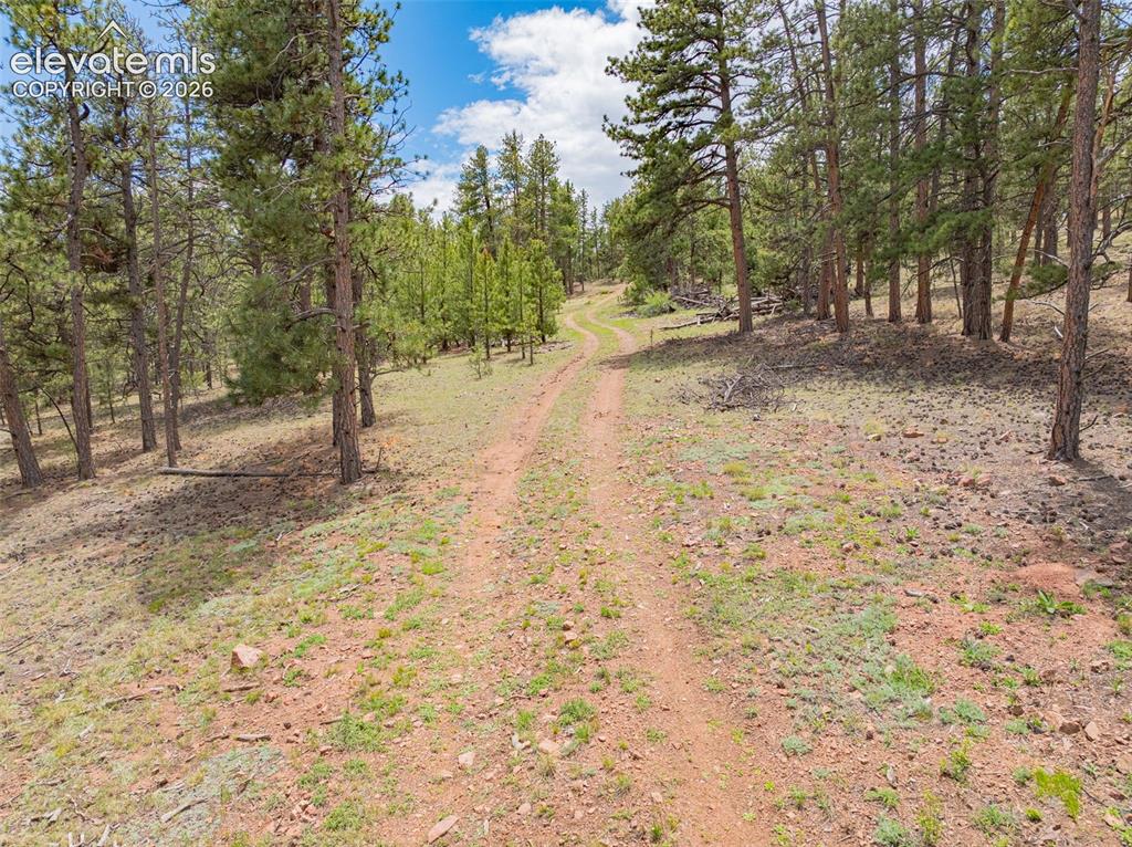 4250 Doe Valley Road Guffey CO 80820