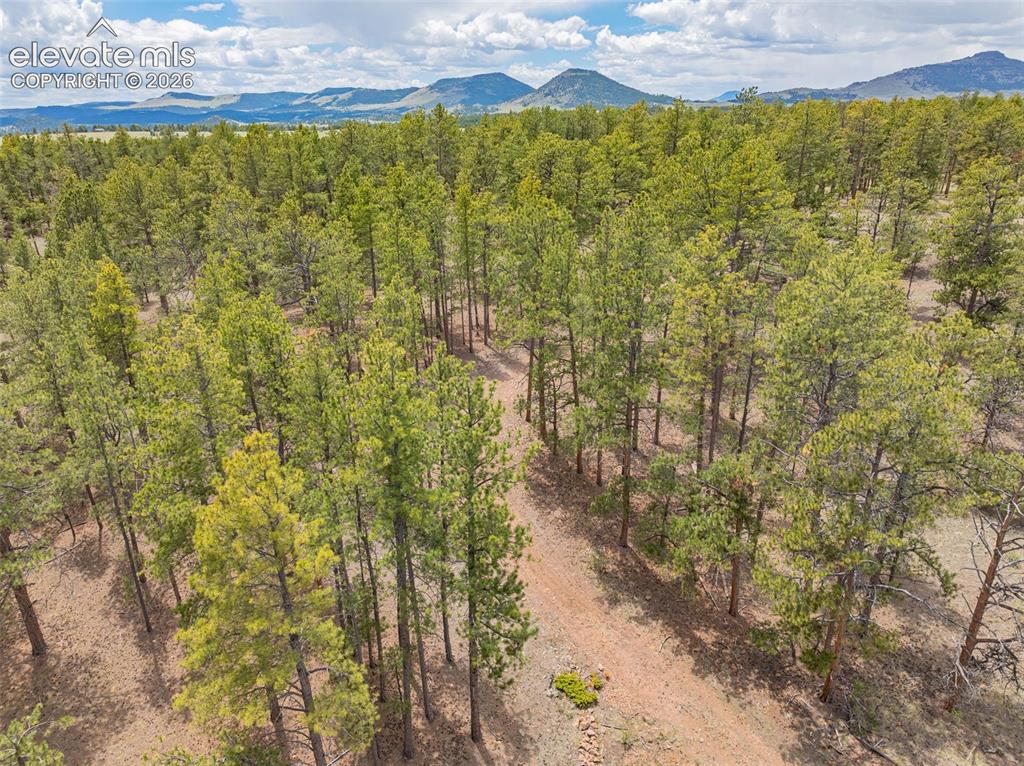 4250 Doe Valley Road Guffey CO 80820