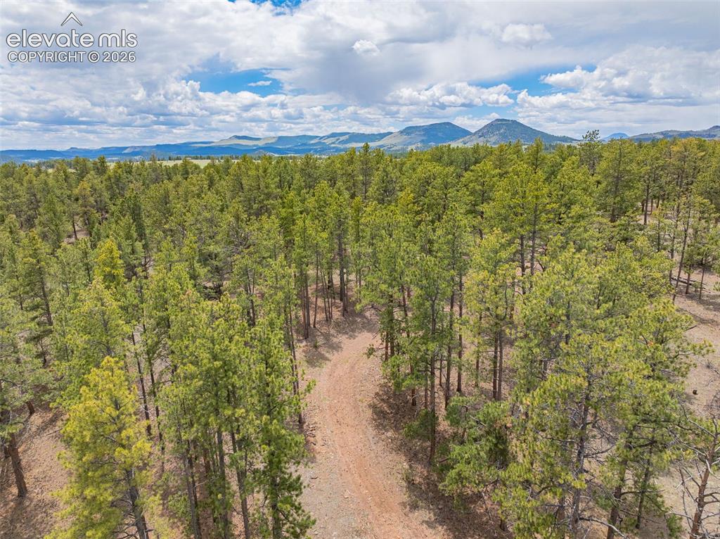 4250 Doe Valley Road Guffey CO 80820