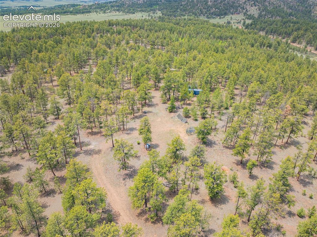 4250 Doe Valley Road Guffey CO 80820