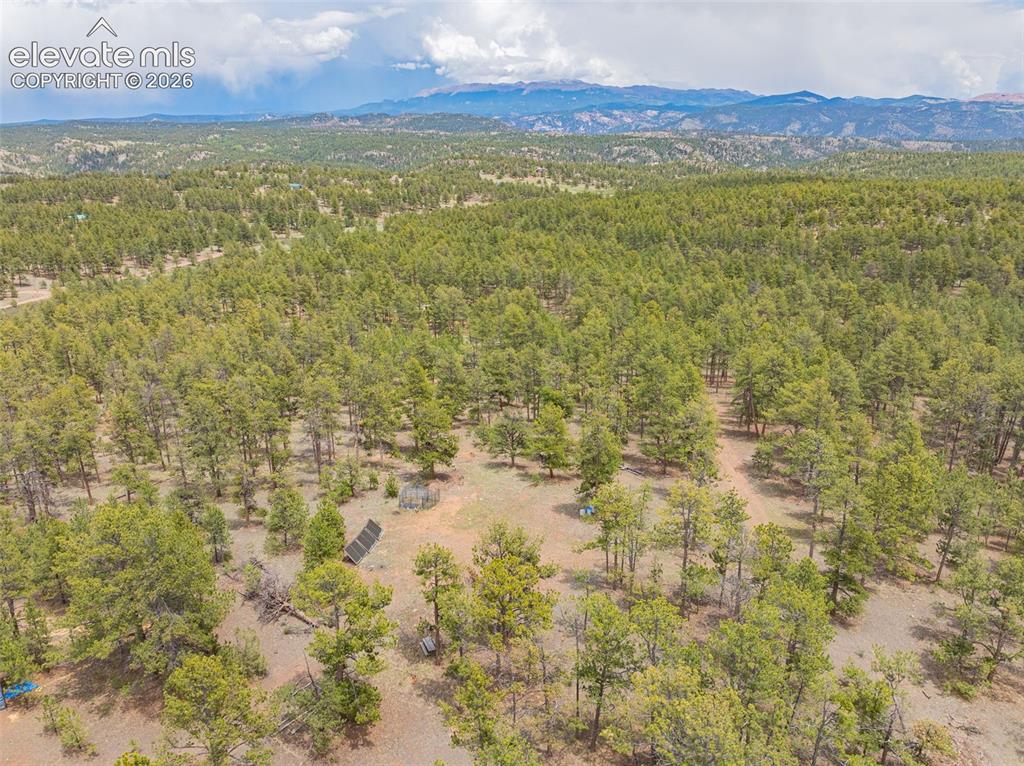 4250 Doe Valley Road Guffey CO 80820