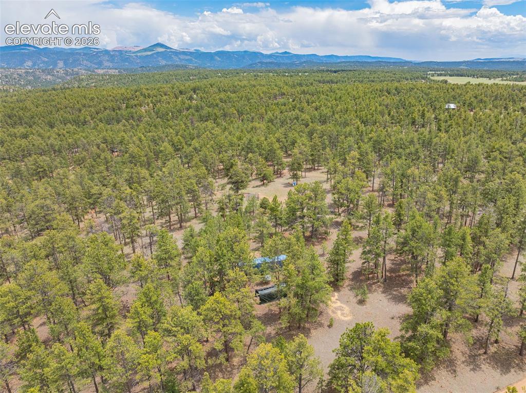 4250 Doe Valley Road Guffey CO 80820