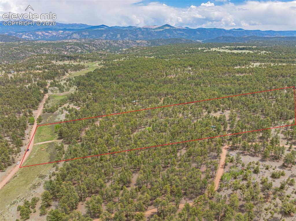 4250 Doe Valley Road Guffey CO 80820