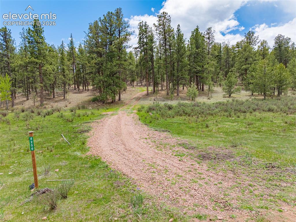 4250 Doe Valley Road Guffey CO 80820