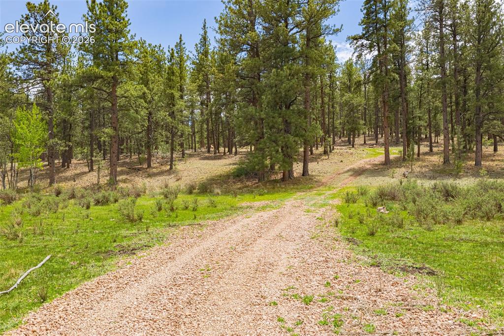 4250 Doe Valley Road Guffey CO 80820