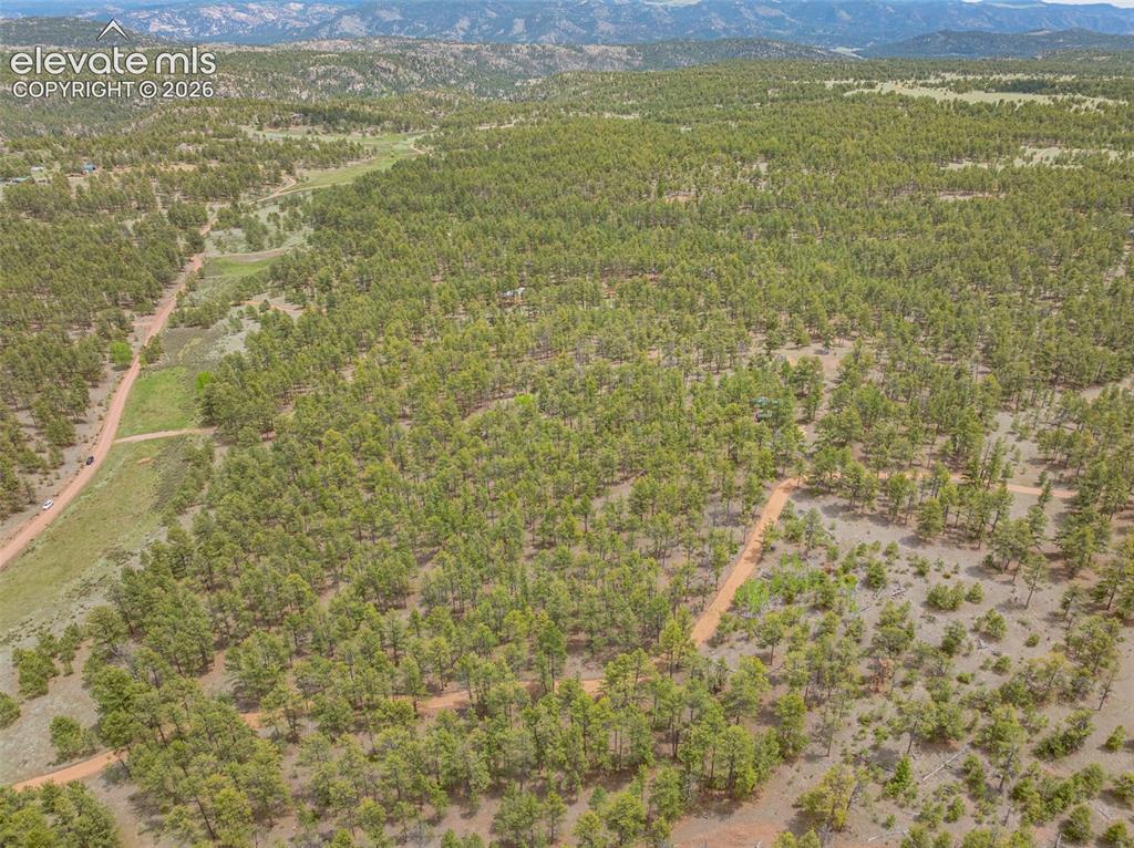 4250 Doe Valley Road Guffey CO 80820