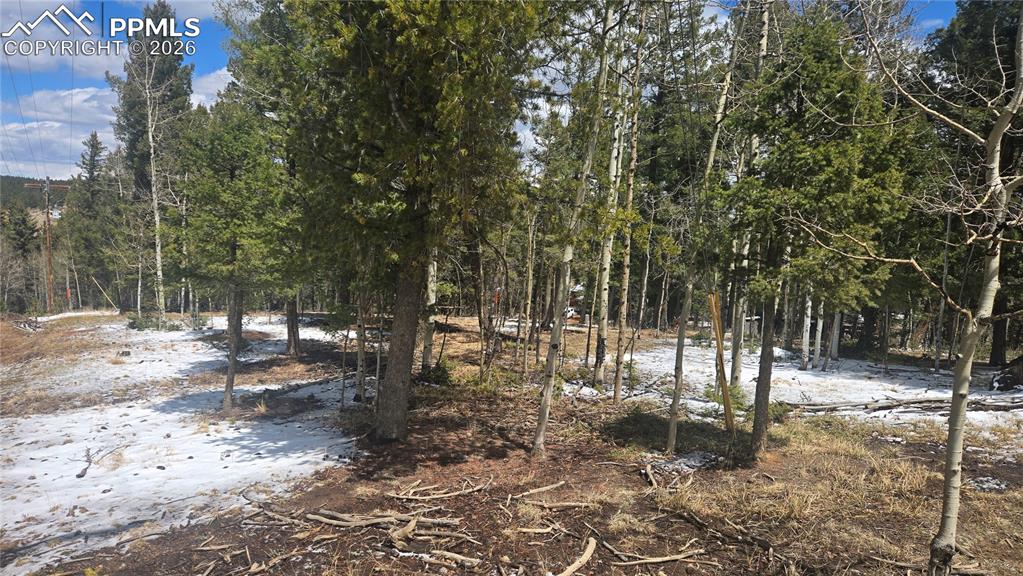 144 Little Bear Peak Road Florissant CO 80816