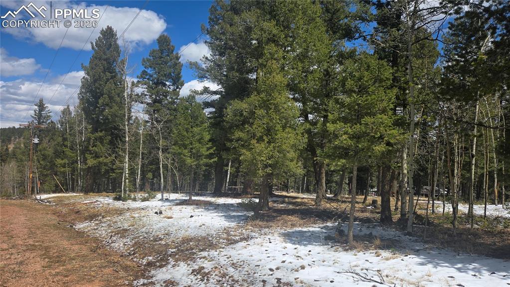144 Little Bear Peak Road Florissant CO 80816