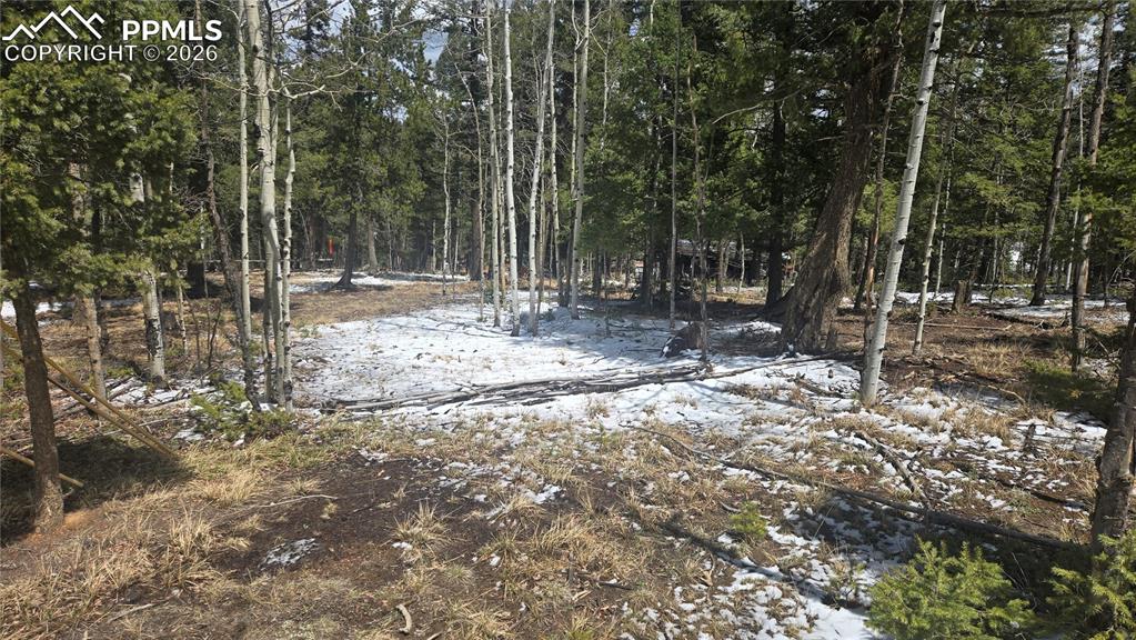 144 Little Bear Peak Road Florissant CO 80816