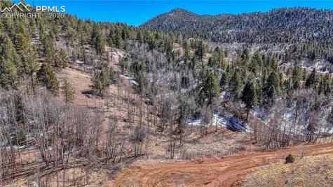513 Last Dollar Drive Cripple Creek CO 80813