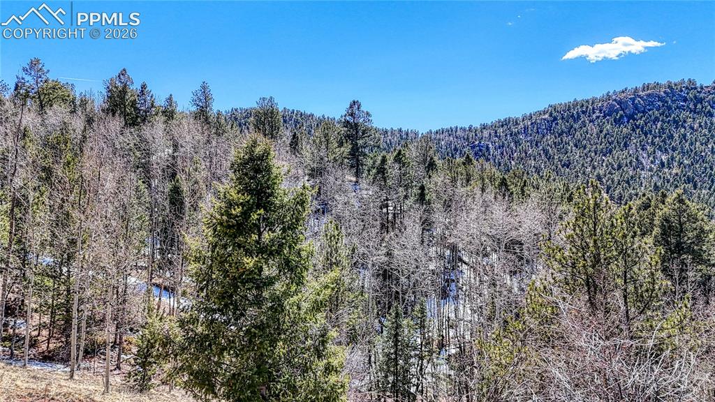 513 Last Dollar Drive Cripple Creek CO 80813