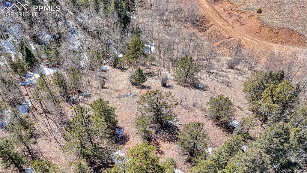 513 Last Dollar Drive Cripple Creek CO 80813