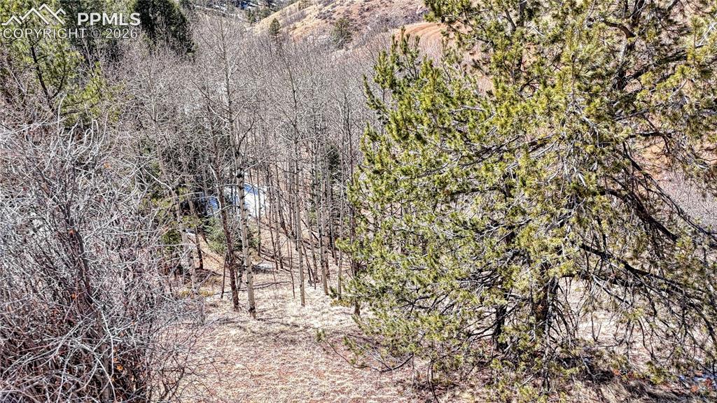 513 Last Dollar Drive Cripple Creek CO 80813