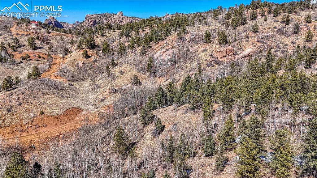 513 Last Dollar Drive Cripple Creek CO 80813