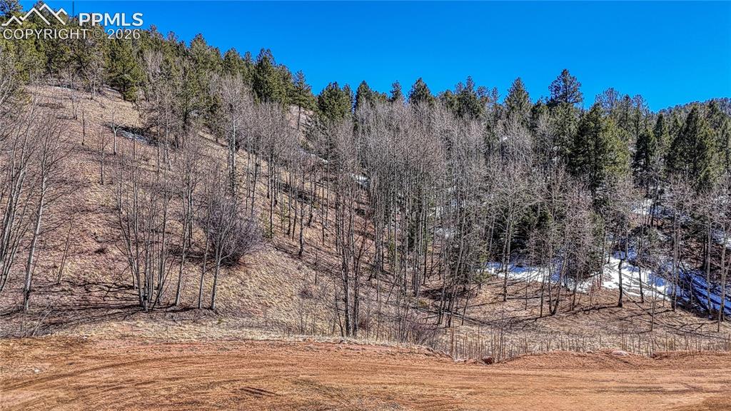 513 Last Dollar Drive Cripple Creek CO 80813