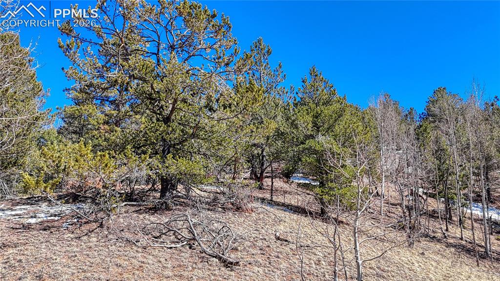 513 Last Dollar Drive Cripple Creek CO 80813